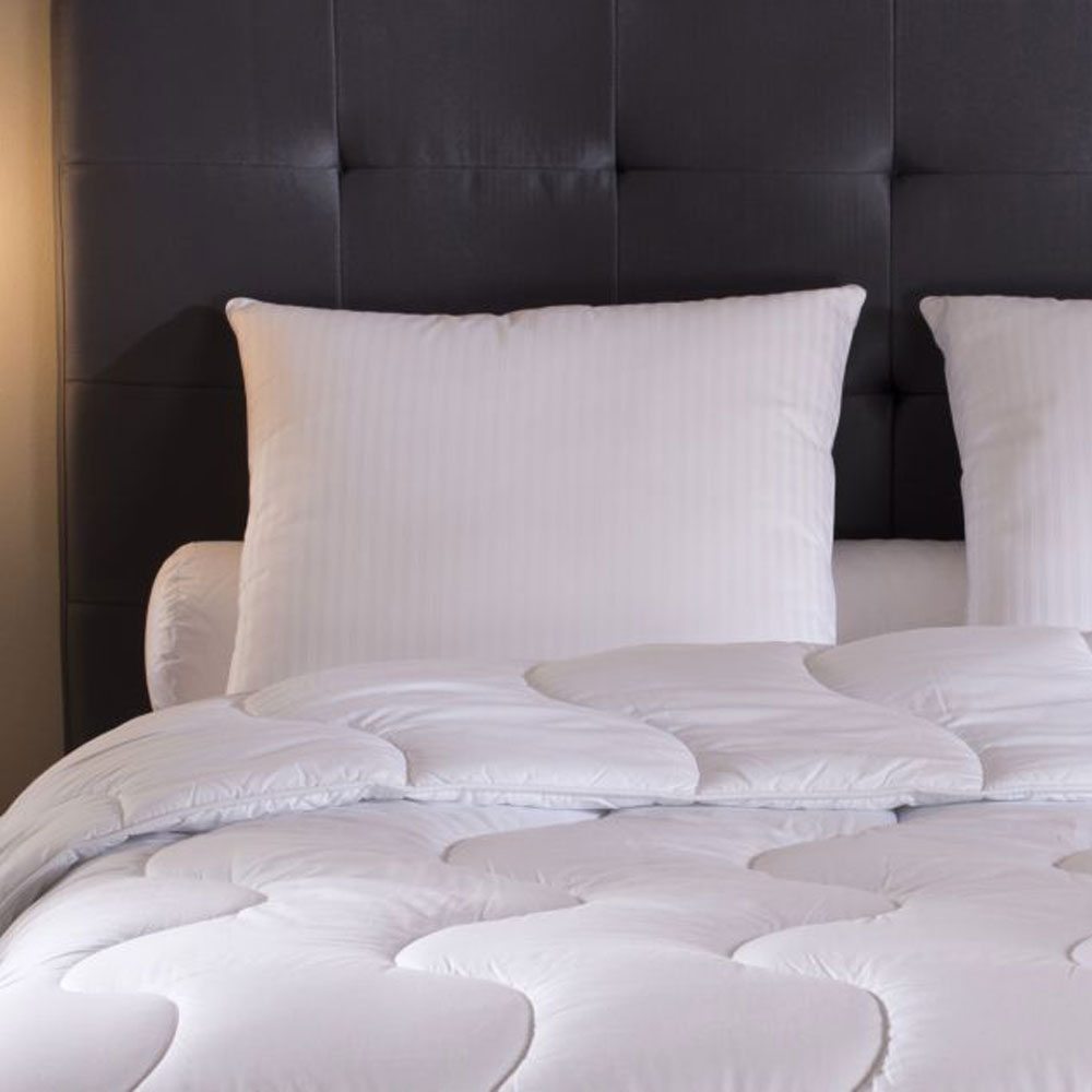 Pillow Pilo D'or plus - Médium