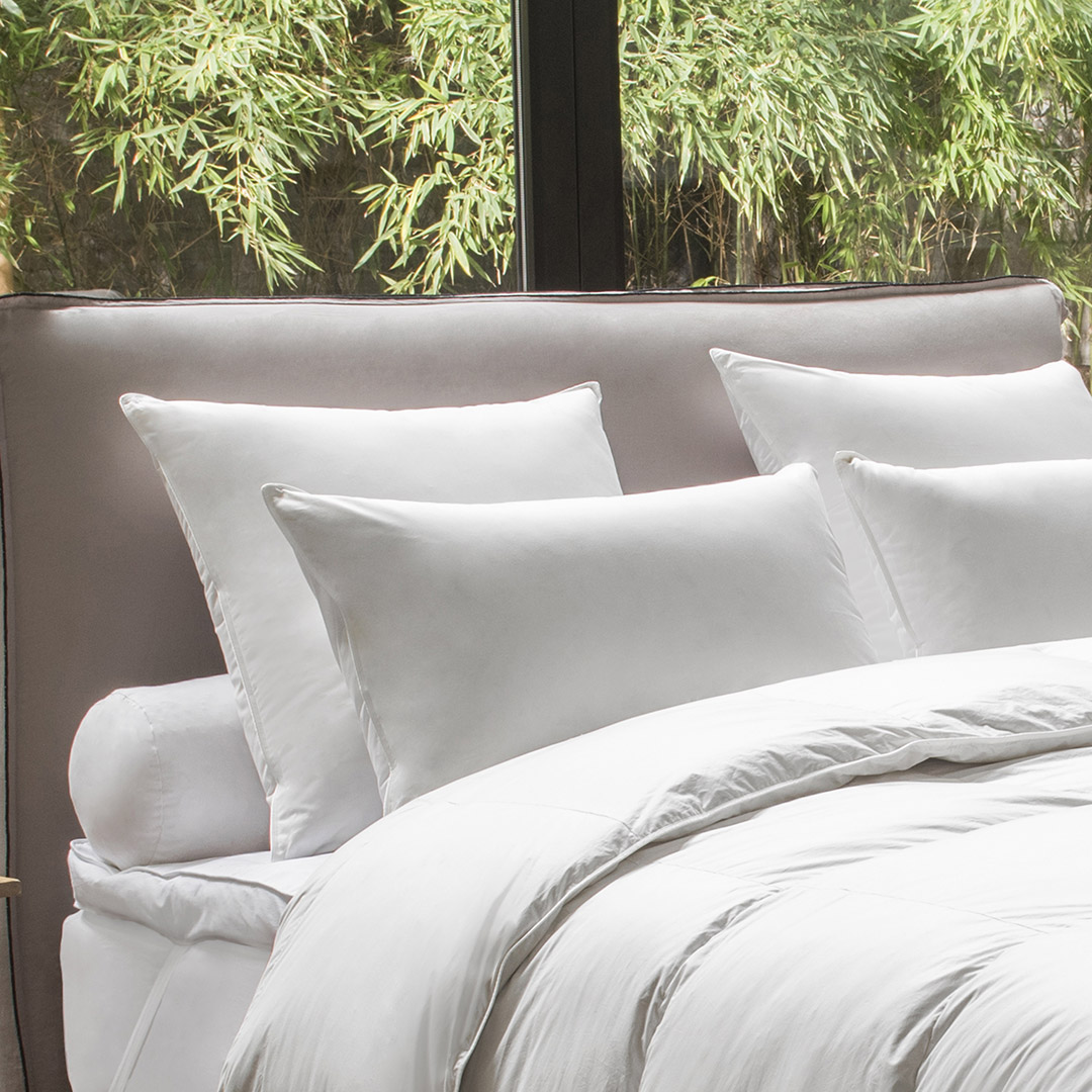 Pillow ORGANIC COTTON ENVELOPE - 50% Comforter de duck and goose - Medium