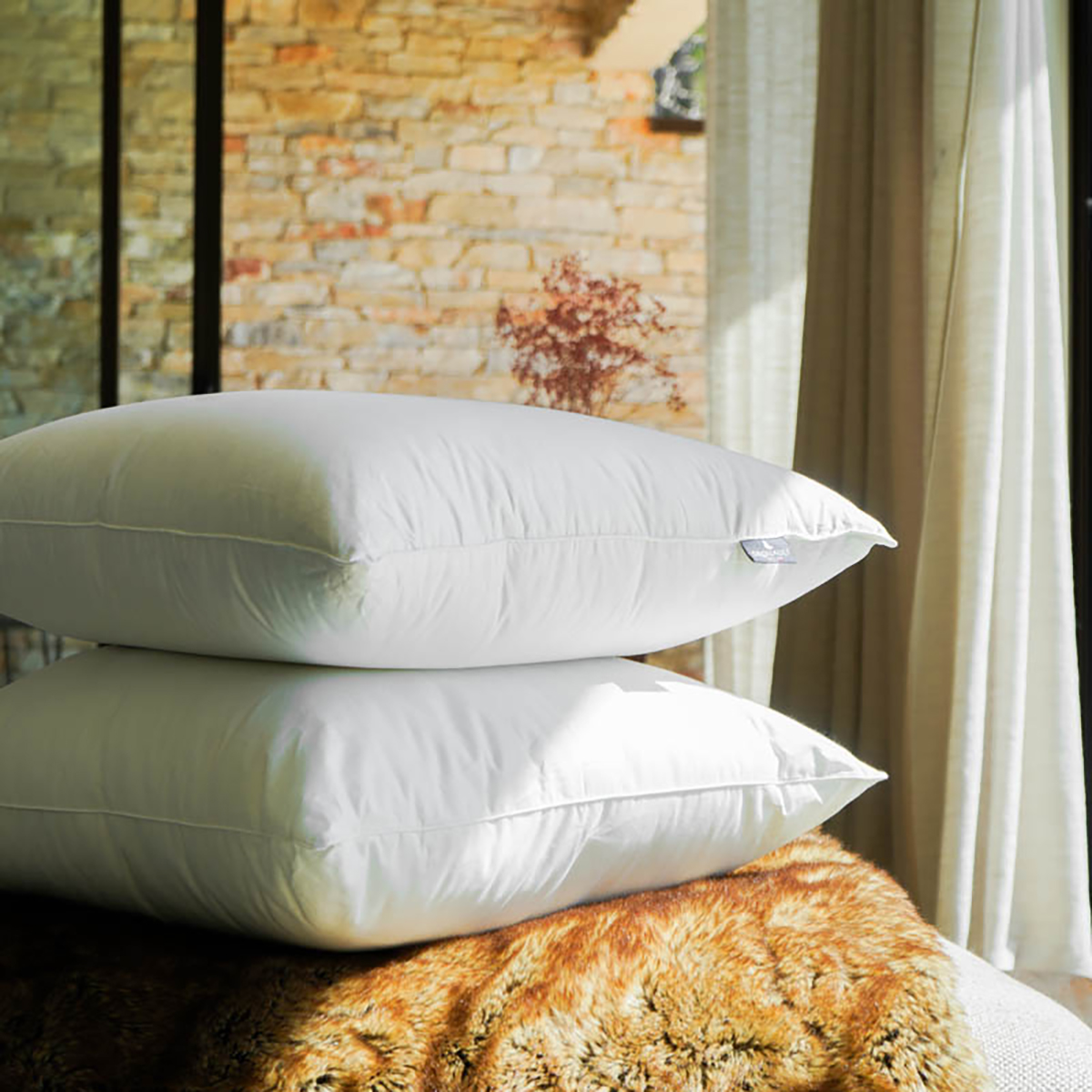 Pillow Millénium - Medium