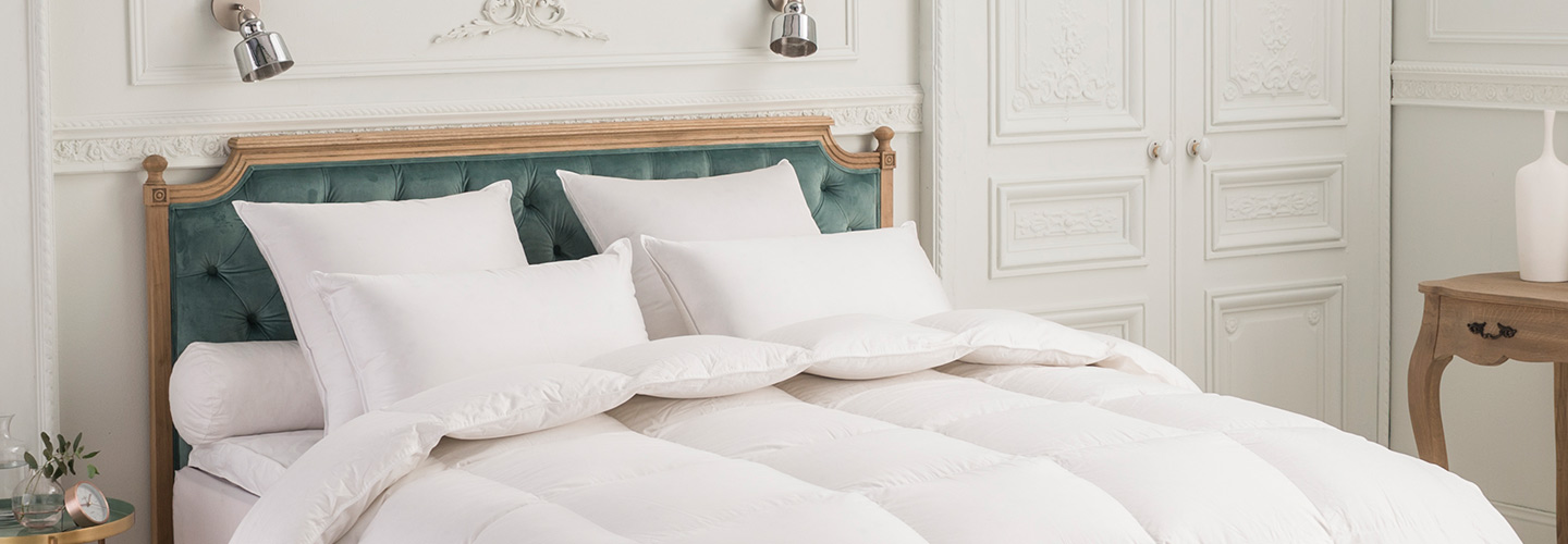 Gamme oreillers duvet